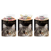 [Cross -border e -commerce English] Pet snack wet grain bag Nutrition cat snacks into kittens to hydrate pure English 85