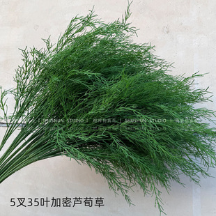 ��c�Gֲ�߷�����횲��J���� �׾Gɭϵ�b��������廨·���ٻ�