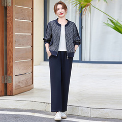 大码撞色宽松休闲妈妈装秋季新款运动服减龄显瘦中老年女装两件套