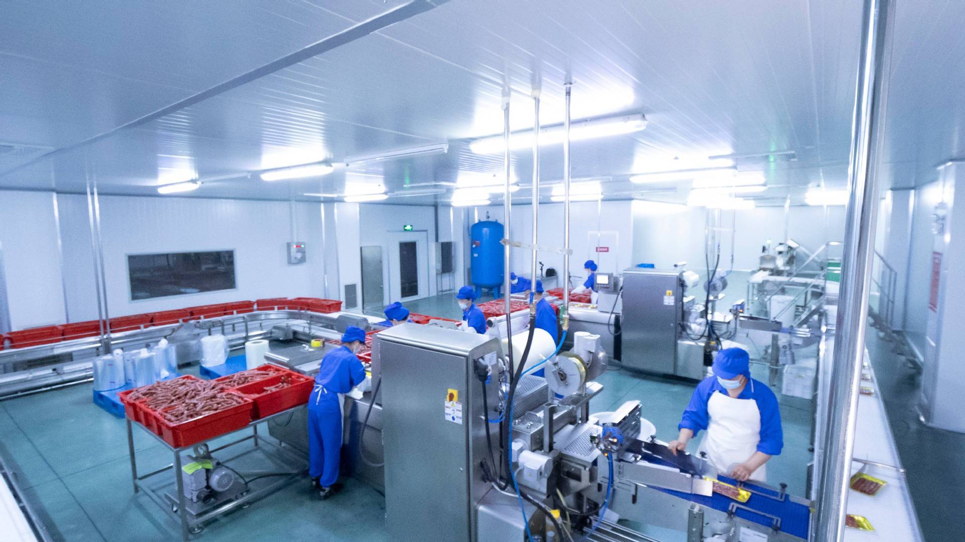 Jinzi Ham (002515.SZ) Cross-Border Transformation Investment Analysis Report