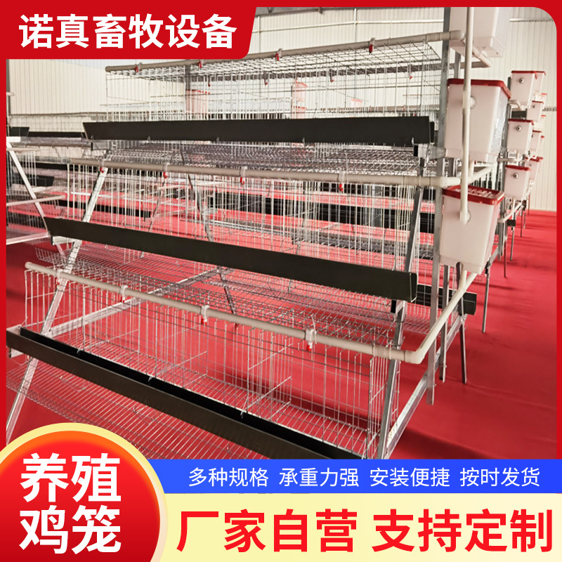 阶梯蛋鸡笼 热镀锌蛋鸡笼 3层4层蛋鸡笼 3层4门蛋鸡笼白槽绿槽