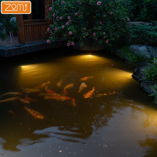 IP68 underwater lamp swimming pool fish pond water landscape lamp underwater landscape lamp surface installation safety low pressure underwater lamp