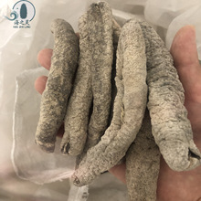 批发大红乌参小岛大红虫参粉虫参乌参15头淡干海参酒店水发专供