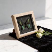 �G�����P�������˱�����b��ڒ�쮋�ɔ[�ɒ����նY�﹝�նYƷ