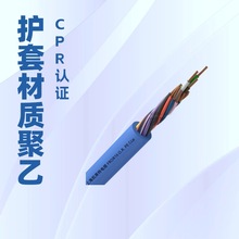 ���������FROR16 O.R. PECCa ��׼��|CPR .CE�J�C�Rȫ