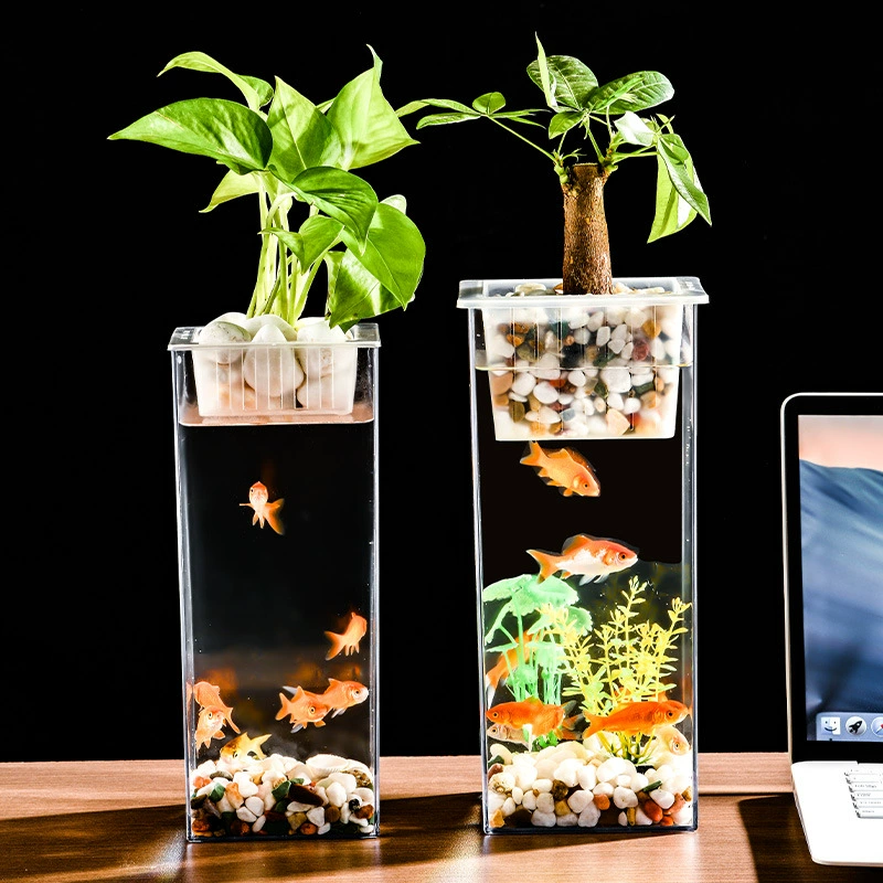 Прозрачная квадратная богатая бамбуковая гидропонная ваза для цветов, украшения, контейнер для водной культуры, золотая рыбка, зеленое растение, декоративный микропейзаж, экологический резервуар