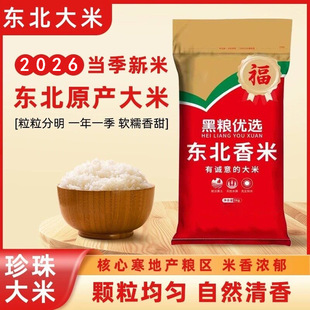 ���׺������㵾ؕ��10��|���������״������׈A���׃��|�������