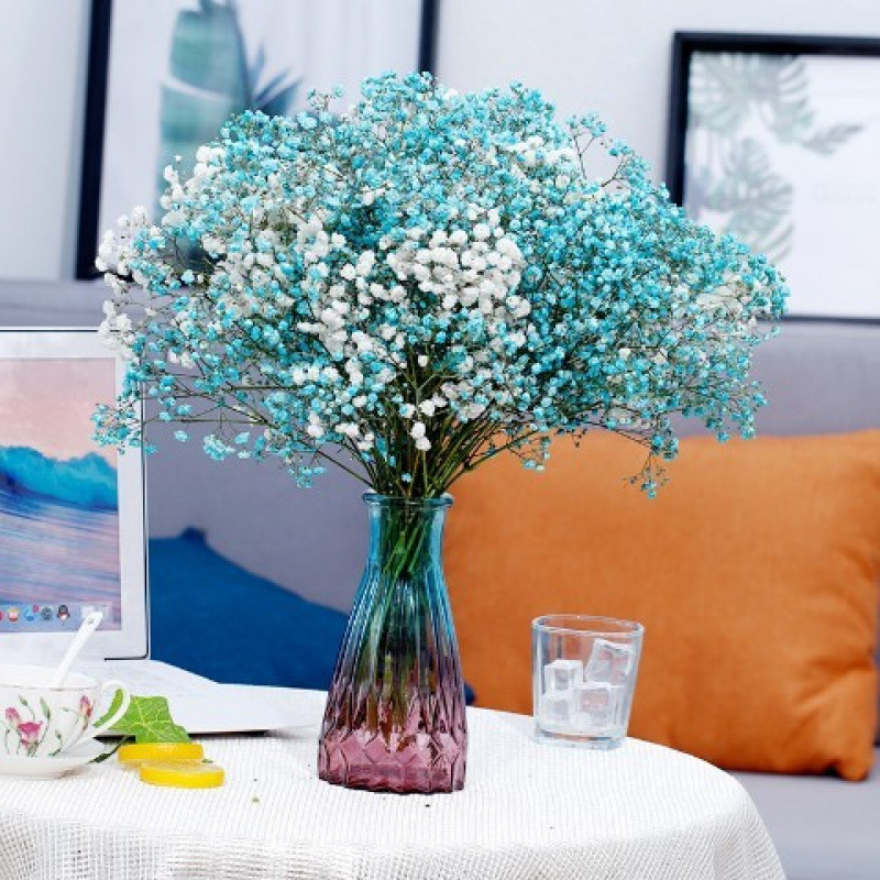 하늘색 + 흰색 아기 호흡 - 꽃병 없음