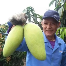 â��������â������â�����������ļ�â����ͥԺ�����Ϸ�����