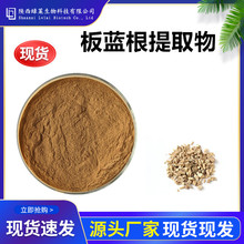 板蓝根提取物10：1 水溶马蓝根蓝根粉 板蓝根皂甙 板蓝根提取粉