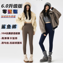 10A抗菌鲨鱼裤女加绒2026秋冬新款高腰不掉档零聚脂绒瑜伽打底裤