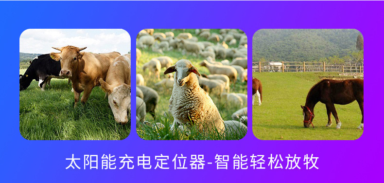 Solar 4g Beidou Gps Large-Scale Livestock Locator Mountain Grassland Grazing Tracking Artifact Trajectory Playback