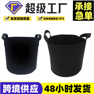 �羳ë�ַNֲͰ��ɫ�o����ֲ����@ˇ������������ë�ַNֲ��