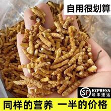 【处理断草】断虫冬虫夏草官方旗舰店非西藏那曲野生虫草正品干货