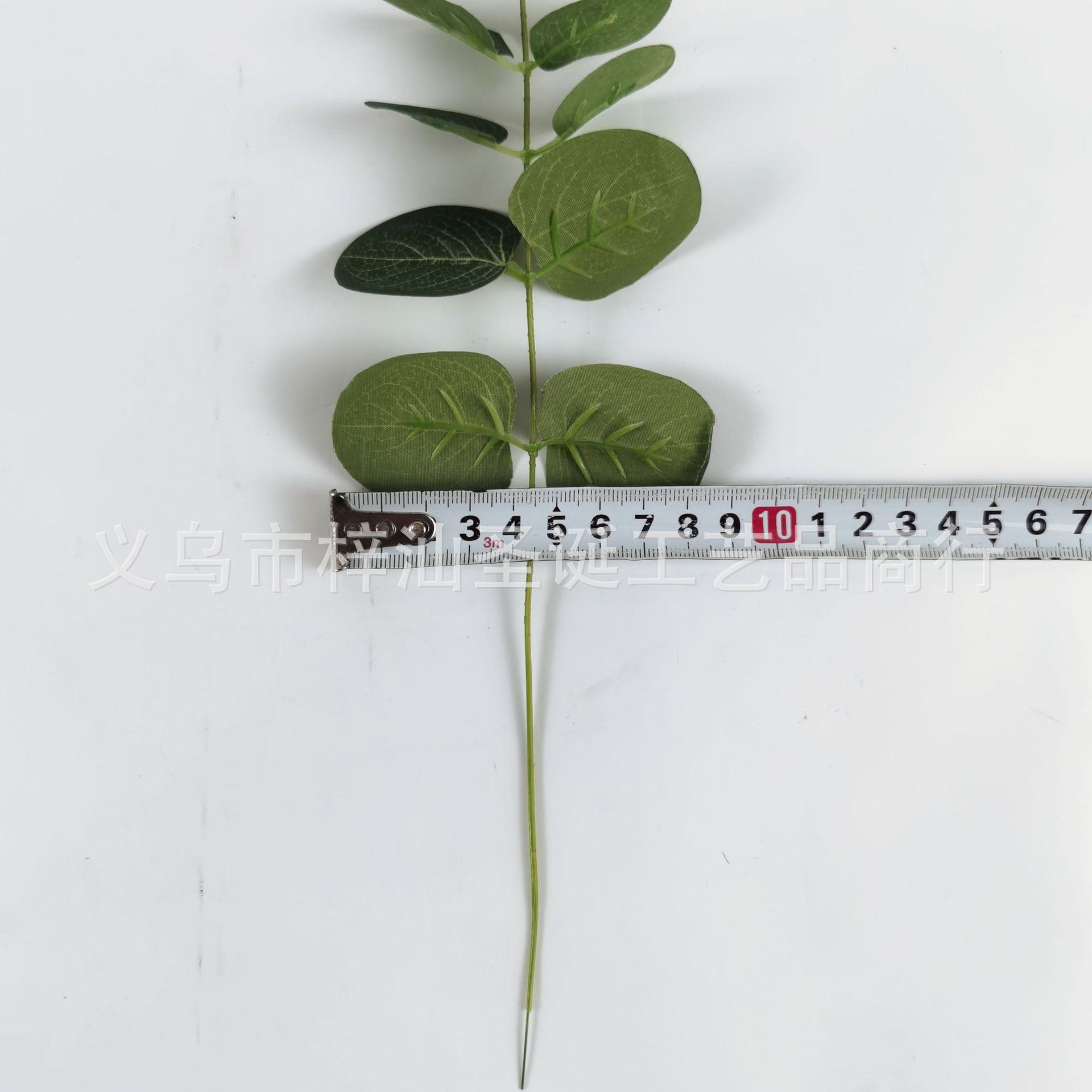 图片_20210826151429