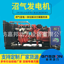 300kw500kw600kw800KVA1000ǧ ����ȼ��l늙C�M250KW�Ӛ�l늙C