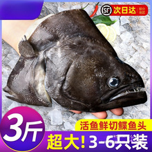 ���~�^����l�~�^�fƬ�~�^����r��Ŀ�~�������l���~�^���r