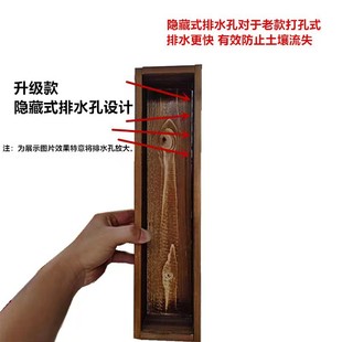 ��ľ�������M�Ϻз���ľ�Gֲ������ľ�|����С�͑��������
