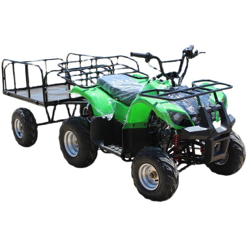 Cuatrimoto Todoterreno Agrícola 125cc de Hierro y Plástico con Transmisión por Eje image 6