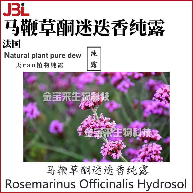 法国 马鞭草酮迷迭香纯露 Rosemary CT Verbenone 化妆品原料 1KG