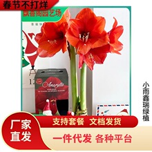 ���l���|��피t�N�� ��피t�N�� ��N��ɫ��피t �M��Ʒ�N
