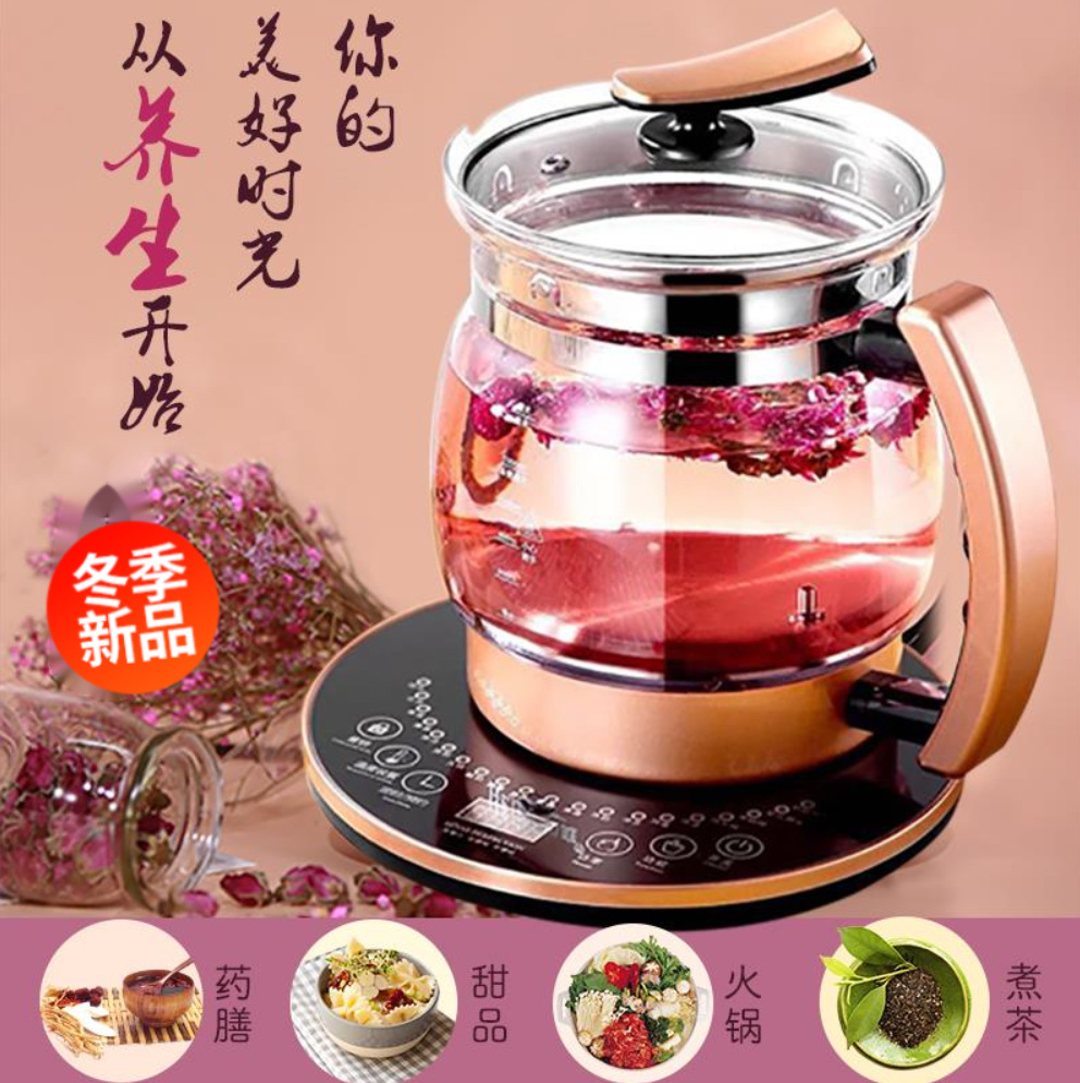 Heting Health Pot with Filter, Glass Multifunctional Electric Tea Pot, Herbal Medicine Pot, Extra Large Capacity 2.5L, Fast Heating and Insulation