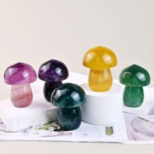 �羳��Ȼˮ��Ģ�� 5cm����СĢ��ˮ����觹�ˇƷ΢���^�[���b�Ʒ