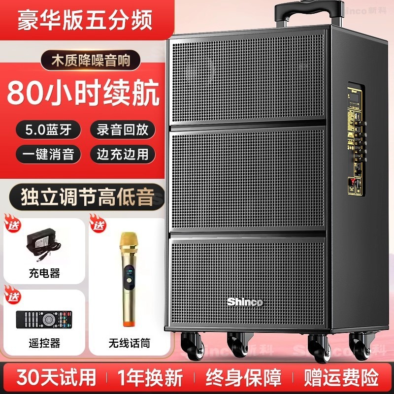 新科广场舞音响2025新款户外k歌专用大功率拉杆音箱蓝牙专业演出|undefined