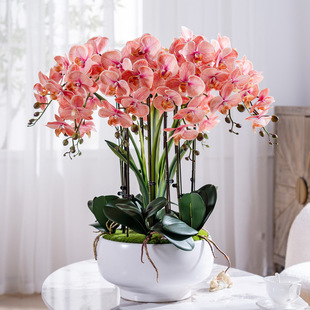 �߶˺����m����Ԓ������PU�ָ��^�z��ˇ�҃ȼٻ����ϻ�ˇ�廨�b�