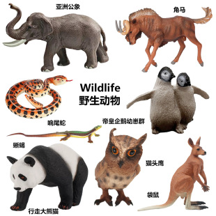 �羳�������ģ�͔[������؈�^������������؈���Z���R�β�����