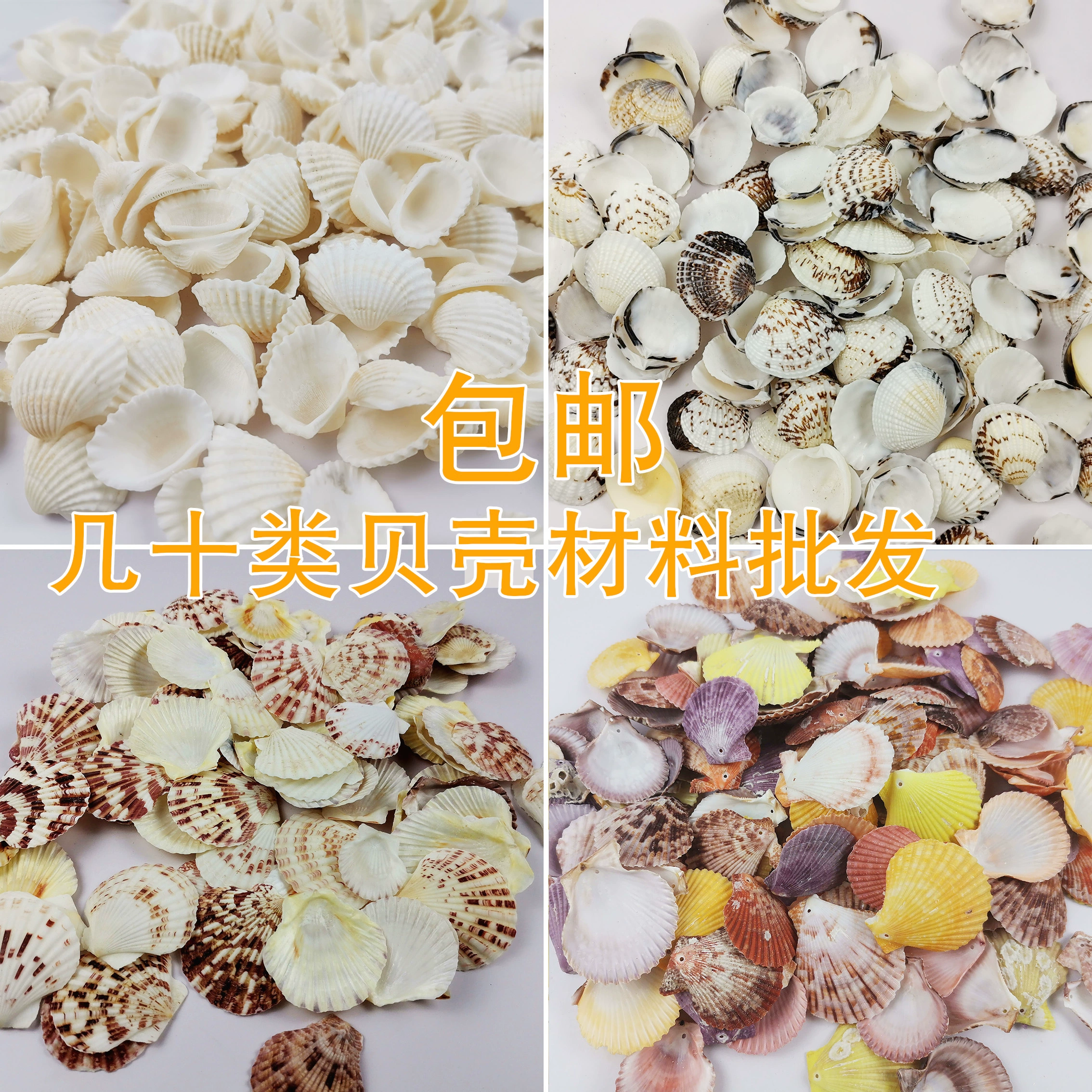 Натуральная ракушка моллюска, раковина Conch, вентилятор, кокосовая птица хвост раковины, оконныйswating паста пассажир стена ID ручная работа