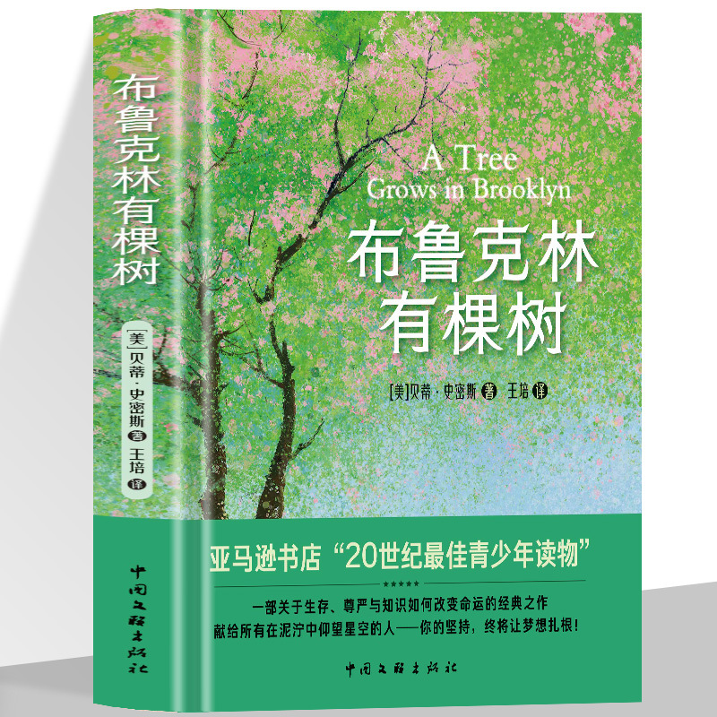 布鲁克林有棵树 纽约公共图书馆世纪之书 关于生存尊严与知识
