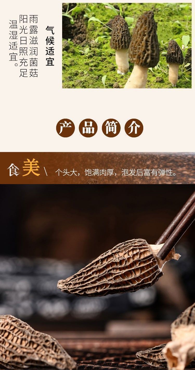 Dried Morel Mushrooms Yang Du Jun Morchella Whole Wild Foraged Yunnan Culinary Gourmet Soup Fungi key features