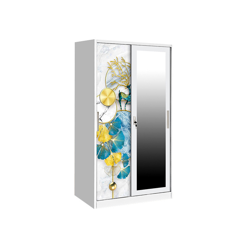 Fábrica de comercio exterior impresa armario armario de acero puerta deslizante dormitorio balcón almacenamiento armario personalizado image 6