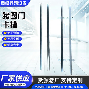 �iȦ�T����2.0�Ȍ������T���l��\�Fu�Ͳ��i���T�̶����ۼӺ�䓲�