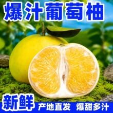 福建黄金葡萄柚3-9斤柚子黄肉蜜柚西柚原产地直发香甜礼盒装