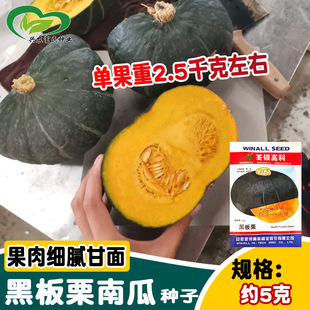 ���y�ڰ����ϹϷN�� �������������Ŵ�ϹϷN�� �r��С�ˈ@�߲���