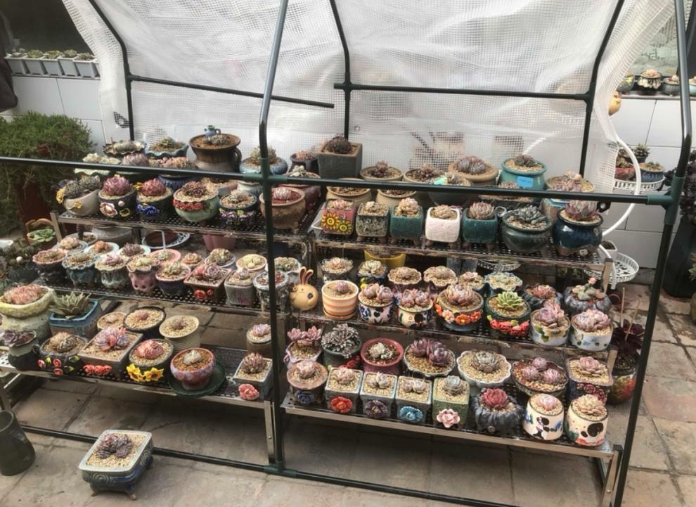 dbb2dcef-7df0-4c54-a155-979e8fbd01e3.jpe