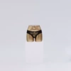 Golden pants model-01