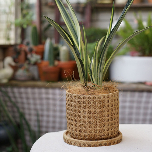 European retro cement flowerpot Mediterranean indoor potted woven bamboo personalized creative green plant pot large size