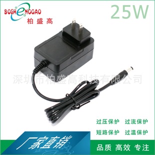 Japan Pse Certified 25.2V1A Fascia Gun Physiotherapy Instrument Toy Car Led Lamp Audio Power Adapter
