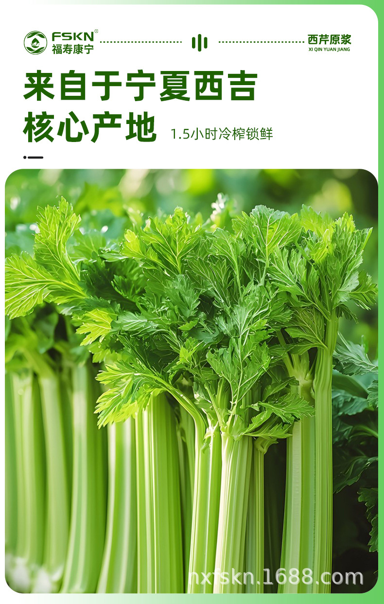 Fresh Celery Juice 500ml Bottled 100% Celery Puree Original Liquid Vegetable Drink key features