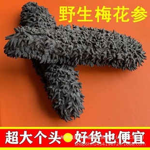 ����÷�����M�ڵ��ɺ���Ұ��������؛��ˮ��̅�ˮ�a�Ǽ�ʳ���a