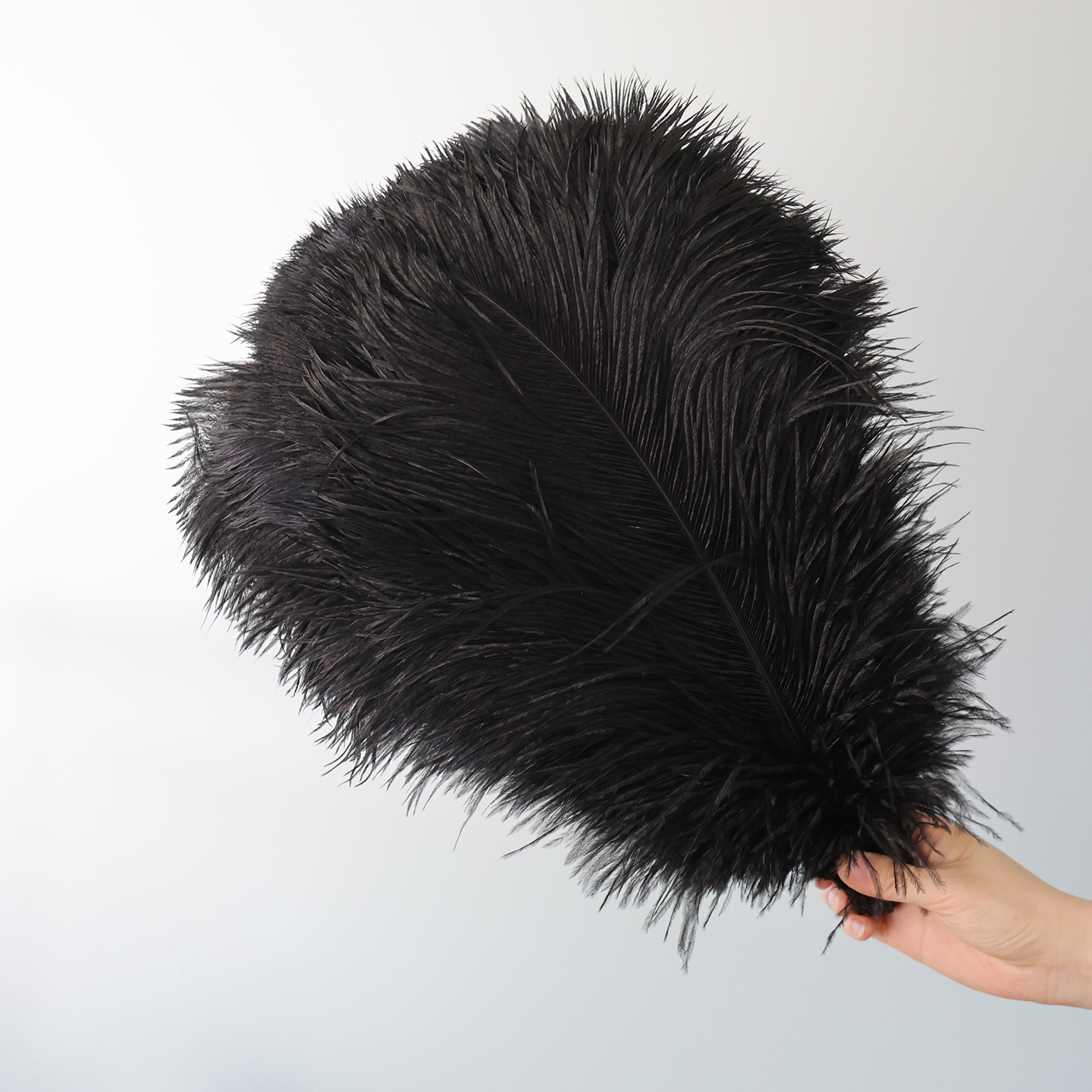 Plumas negras al por mayor DIY accesorios de decoración de ropa accesorios escenas de diseño de fábrica de plumas tienda directa