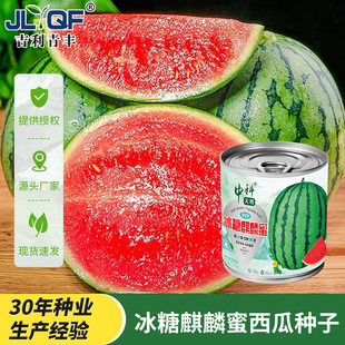 �����������������r��ˈ@���ϷN������Nֲ���ϷN��������Ϲ��b