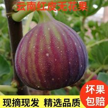 ���r�tƤ�o�����a��ֱ�lܛŴ�����ЋD����ˮ�������t�o����