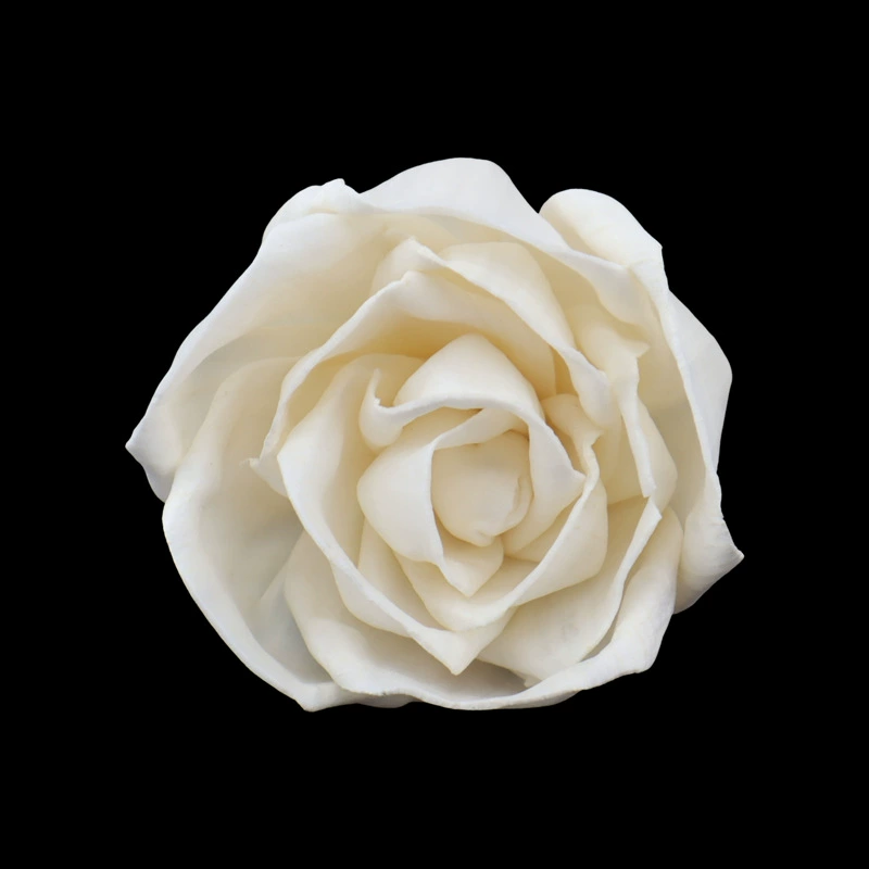 Оптовая продажа | 6cm розы Tongcohua домашний декор имитация сушеных цветов