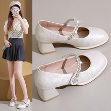 LЬ2025¿ŮЬˮ荝hЬ|߸ЬָЬƤЬ