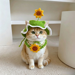 ���տ�����ñ�Ӈ������b؈�乷���^���Ȧ����������ż����·�