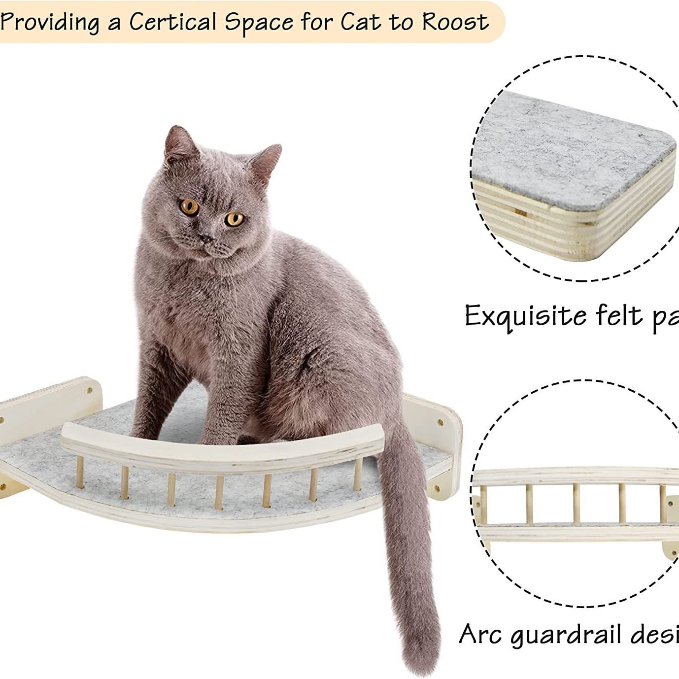 2024-08-21 09:02:25.jpg